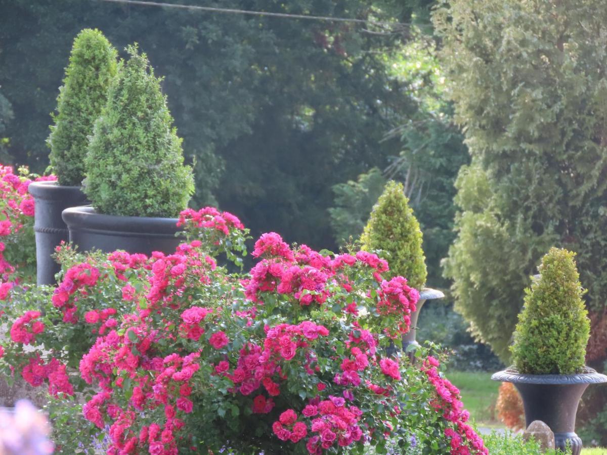 Noan Country House B&B Cashel  Ngoại thất bức ảnh